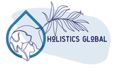 Holistics Global